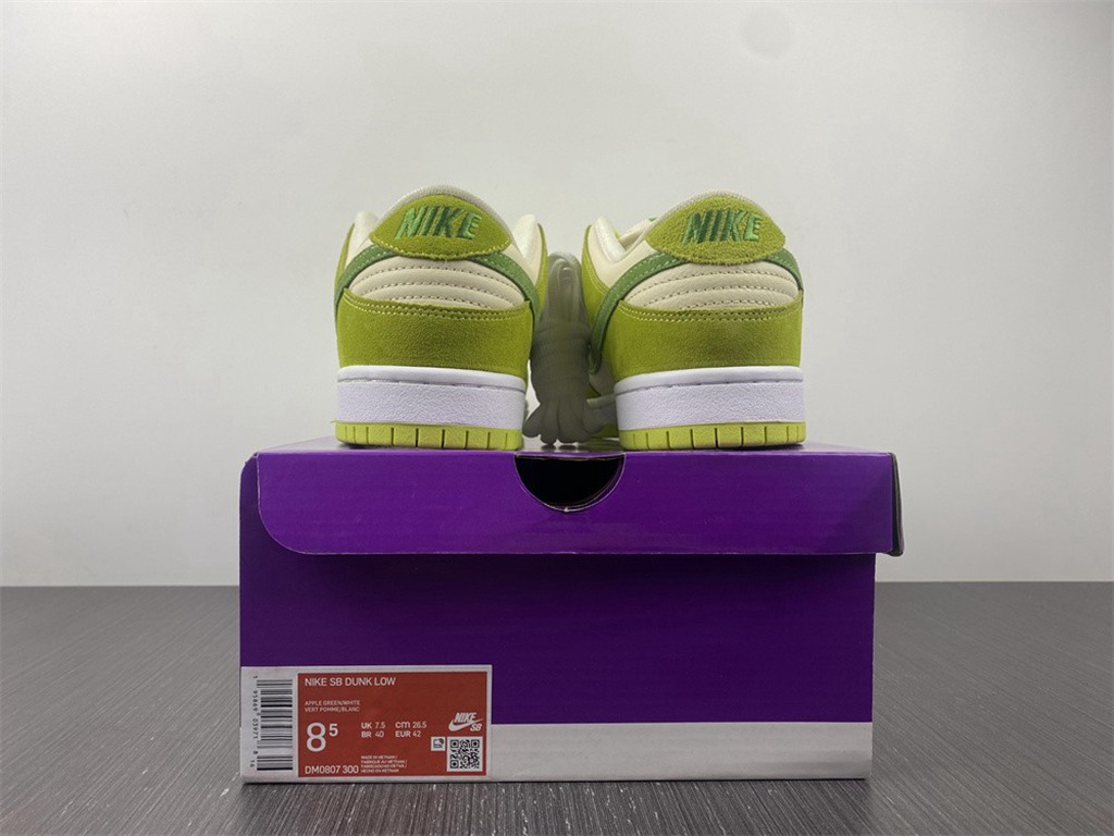 Dunk Low DM0807-300
